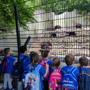 1718273098274